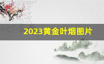 2023黄金叶烟图片大全价格表-黄金叶香烟价格表和图片带爆珠
