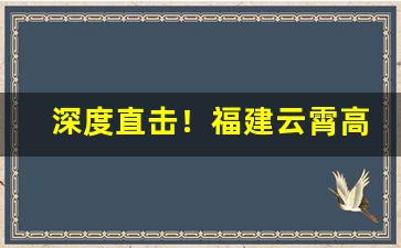 深度直击！福建云霄高档烟价格表中华“大海捞针”