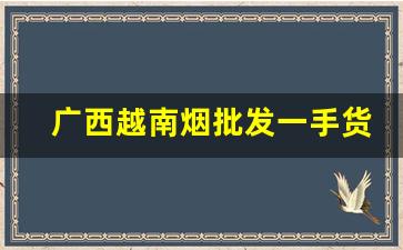 广西越南烟批发一手货源代理-广西柳州哪里有进口烟卖