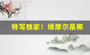特写独家！绿摩尔是哪里的烟“淡泊明志”