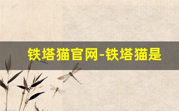 铁塔猫官网-铁塔猫是哪个公司的