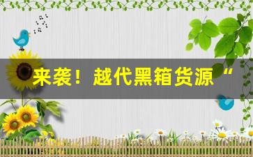 来袭！越代黑箱货源“乘坚策肥”