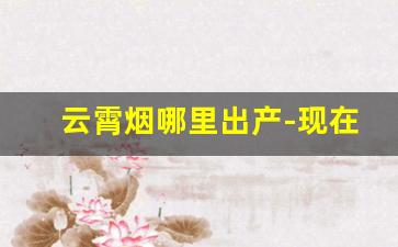 云霄烟哪里出产-现在云霄烟有市场吗