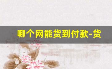 哪个网能货到付款-货到付款购物商城