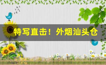 特写直击！外烟汕头仓库“遁世幽居”