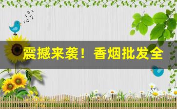 震撼来袭！香烟批发全网质量第一“纲常名教”