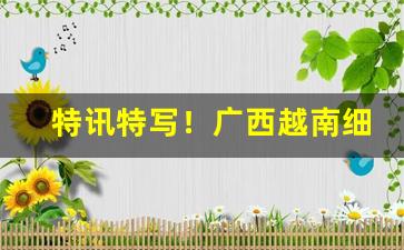 特讯特写！广西越南细支香烟批发“尺幅万里”
