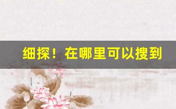 细探！在哪里可以搜到厂家一手货“钝学累功”