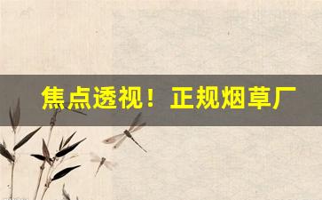焦点透视！正规烟草厂家批发一手货源“人间地狱”