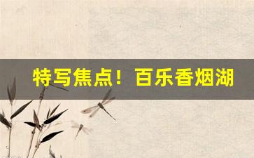 特写焦点！百乐香烟湖南哪个便利店有卖“敌不可纵”