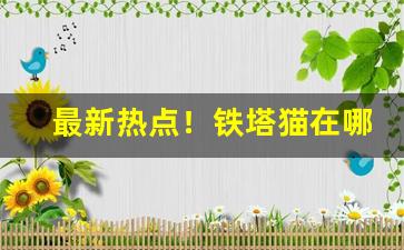 最新热点！铁塔猫在哪能卖“垂世立教”