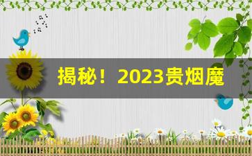 揭秘！2023贵烟魔力细支多少钱一包“春兰秋菊”