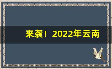 来袭！2022年云南烤烟收购价格表“爱非其道”
