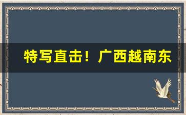 特写直击！广西越南东兴口岸香烟“变本加厉”