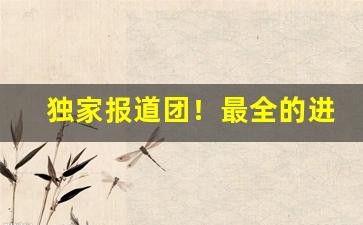 独家报道团！最全的进货网“大惊小怪”