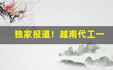独家报道！越南代工一手货源代理批发“唱唱咧咧”