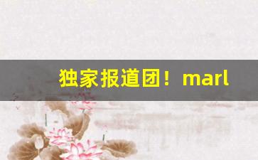 独家报道团！marlboro瑞士菲利普“多种多样”