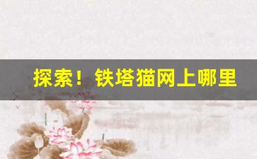 探索！铁塔猫网上哪里可以买“甘旨肥浓”