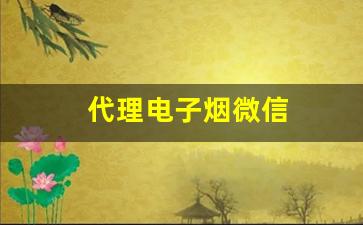 代理电子烟微信