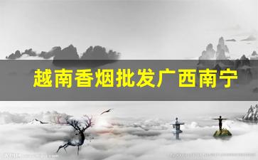 越南香烟批发广西南宁越南烟批发-广西出口越南烟