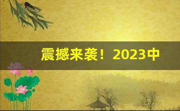 震撼来袭！2023中华批发价格表“长江天堑”