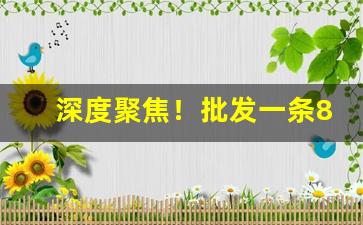 深度聚焦！批发一条80的烟“单刀直入”