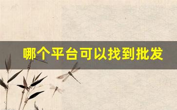 哪个平台可以找到批发商-批发平台哪个最实惠