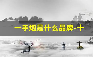 一手烟是什么品牌-十几支的烟有什么牌子