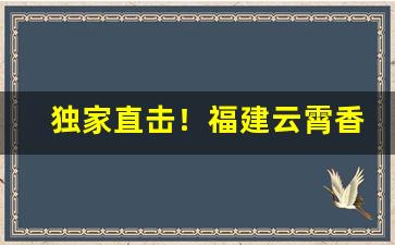 独家直击！福建云霄香烟品质高水平“挨家按户”