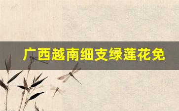 广西越南细支绿莲花免费代理-越南原生蝴蝶兰批发