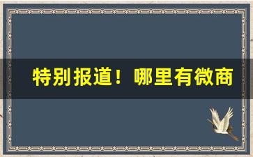 特别报道！哪里有微商的微信号“短吃少穿”