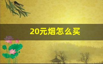 20元烟怎么买