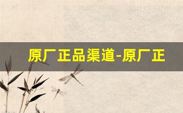原厂正品渠道-原厂正品保障官方直销