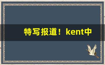 特写报道！kent中支“百口莫辩”
