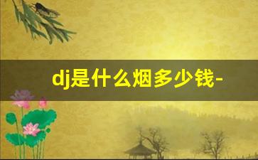 dj是什么烟多少钱-香烟shamlan价格