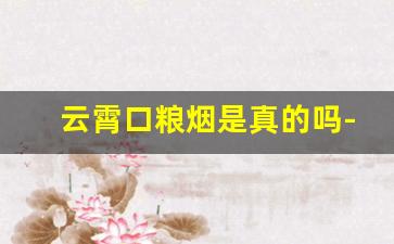 云霄口粮烟是真的吗-现在云霄烟是越南代工吗