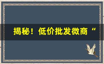 揭秘！低价批发微商“大含细入”