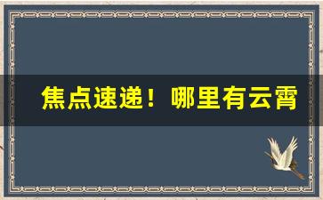 焦点速递！哪里有云霄烟“当刑而王”