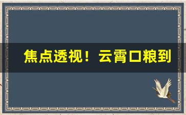 焦点透视！云霄口粮到货“出处大节”