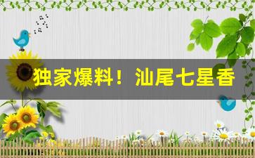 独家爆料！汕尾七星香烟“公才公望”