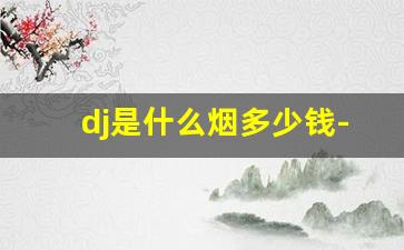 dj是什么烟多少钱-dj烟价格表和图片