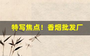 特写焦点！香烟批发厂商一手批发招代理“穿凿附会”