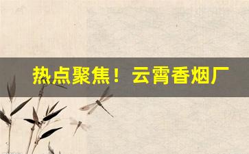 热点聚焦！云霄香烟厂家一手货源招代理“不容小觑”