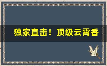 独家直击！顶级云霄香烟联系方式“抽刀断丝”