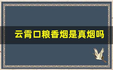 云霄口粮香烟是真烟吗-云霄香烟和其他品牌香烟的区别