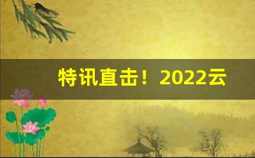 特讯直击！2022云霄香烟批发一手货源网站“得意之色”