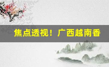 焦点透视！广西越南香烟代工一手货源“跌打损伤”