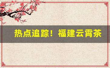 热点追踪！福建云霄茶叶包装批发“寸金难买寸光阴”