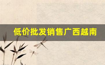 低价批发销售广西越南优质香烟-广西免税烟出售