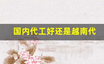 国内代工好还是越南代工好-国内代工贴牌是正品吗